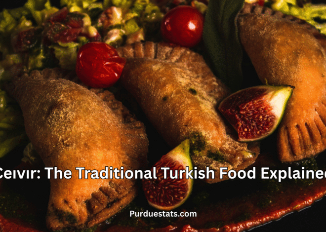 Ceıvır: The Traditional Turkish Food Explained
