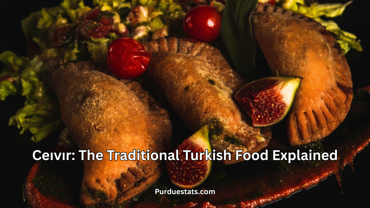 Ceıvır: The Traditional Turkish Food Explained