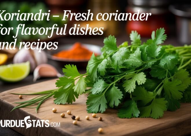 Koriandri – Fresh Coriander for Flavorful Dishes and Recipes