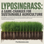 Lyposingrass: A Game-Changer for Sustainable Agriculture
