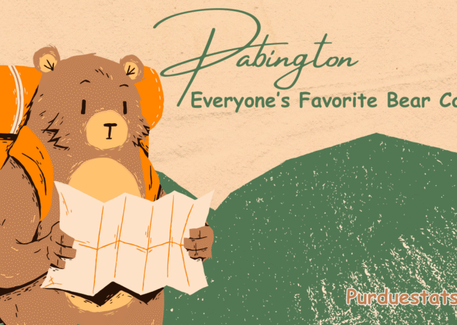 Pabington: Everyone’s Favorite Bear Cartoon