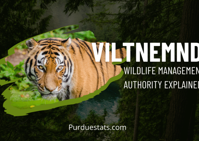 Viltnemnda: Wildlife Management Authority
