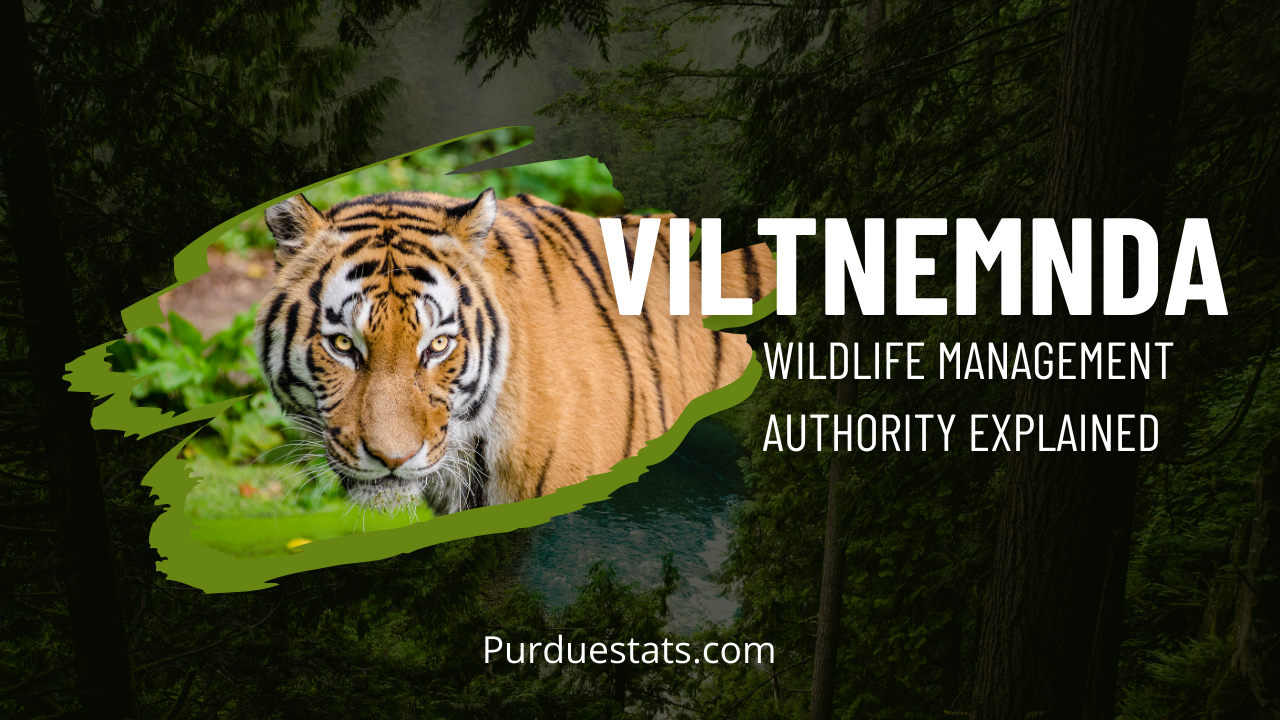 Viltnemnda: Wildlife Management Authority