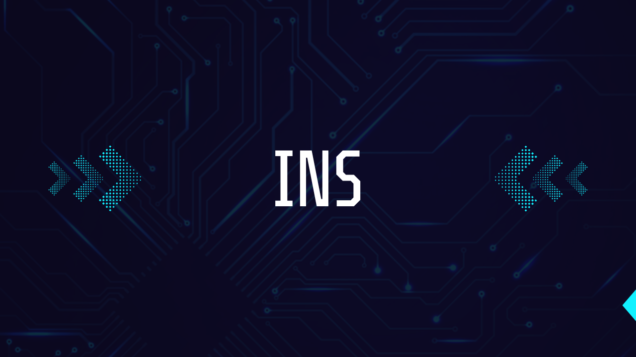INS: Meaning, Uses, and Why It Matters