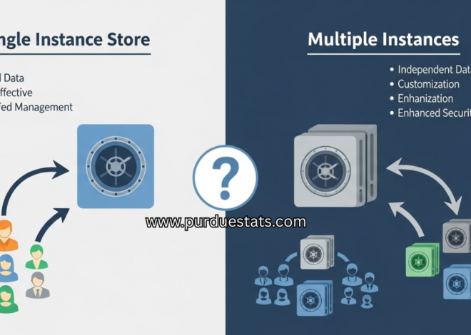 Single Instance Store vs. Multiple Instances: Which is Right for You?