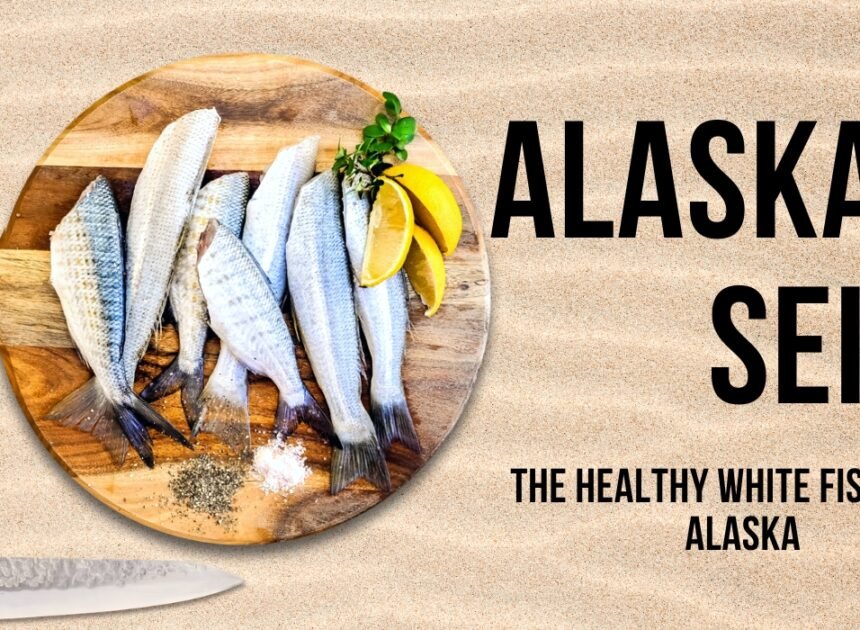 Alaskan Seiti Explained: The Healthy White Fish From Alaska