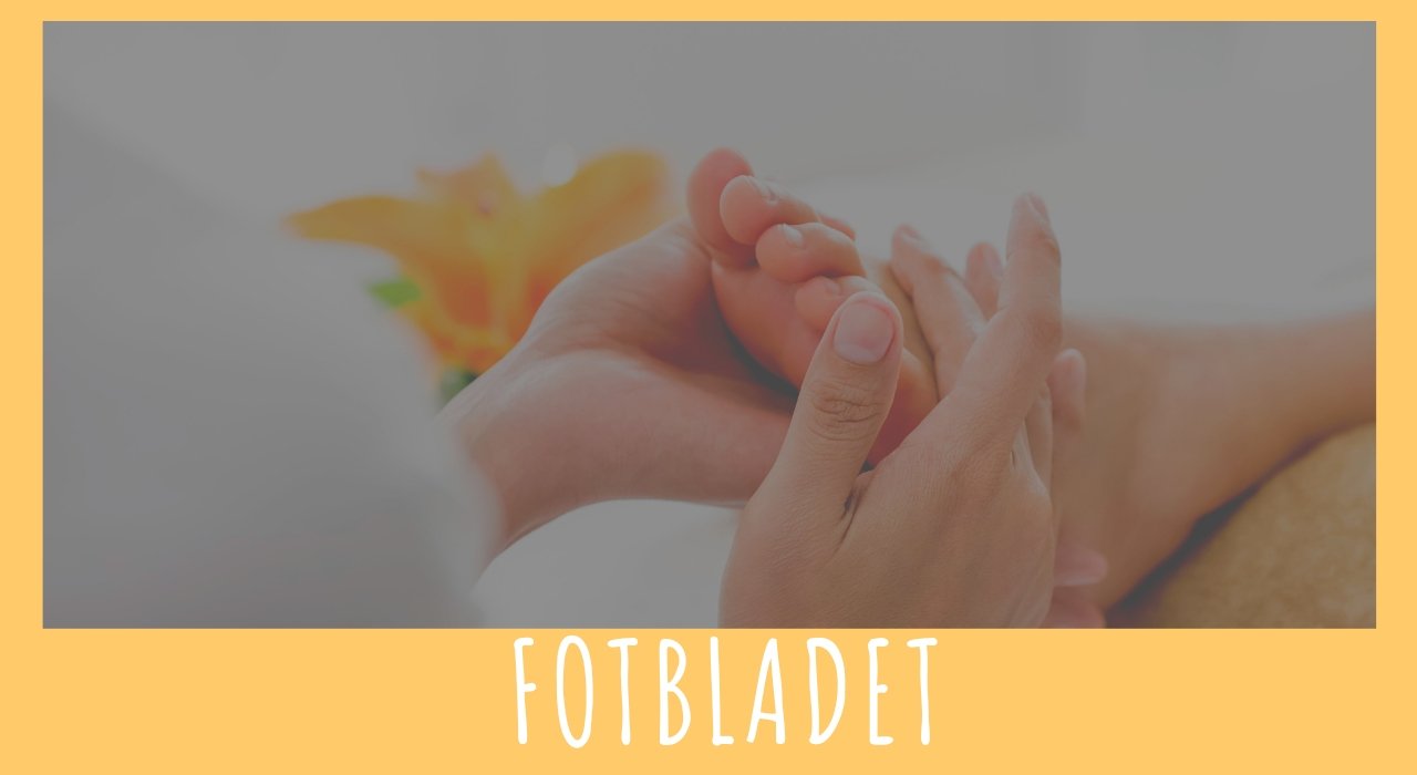 What Is Fotbladet? From Botany to Modern Foot Health