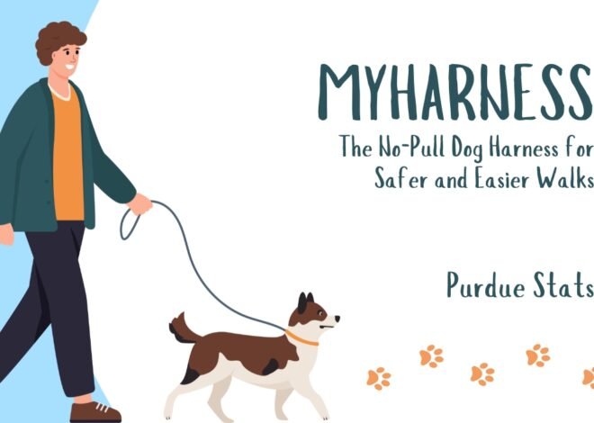 MyHarness: The No-Pull Dog Harness for Safer and Easier Walks