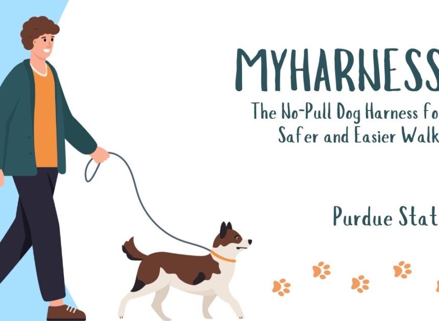 MyHarness: The No-Pull Dog Harness for Safer and Easier Walks