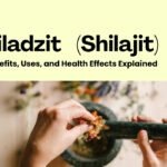 Siladzit (Shilajit): Benefits, Uses, and Health Effects Explained