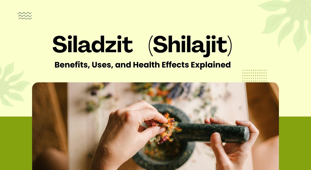 Siladzit (Shilajit): Benefits, Uses, and Health Effects Explained