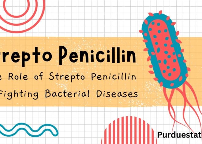 The Role of Strepto Penicillin in Fighting Bacterial Diseases