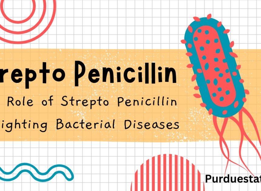 The Role of Strepto Penicillin in Fighting Bacterial Diseases